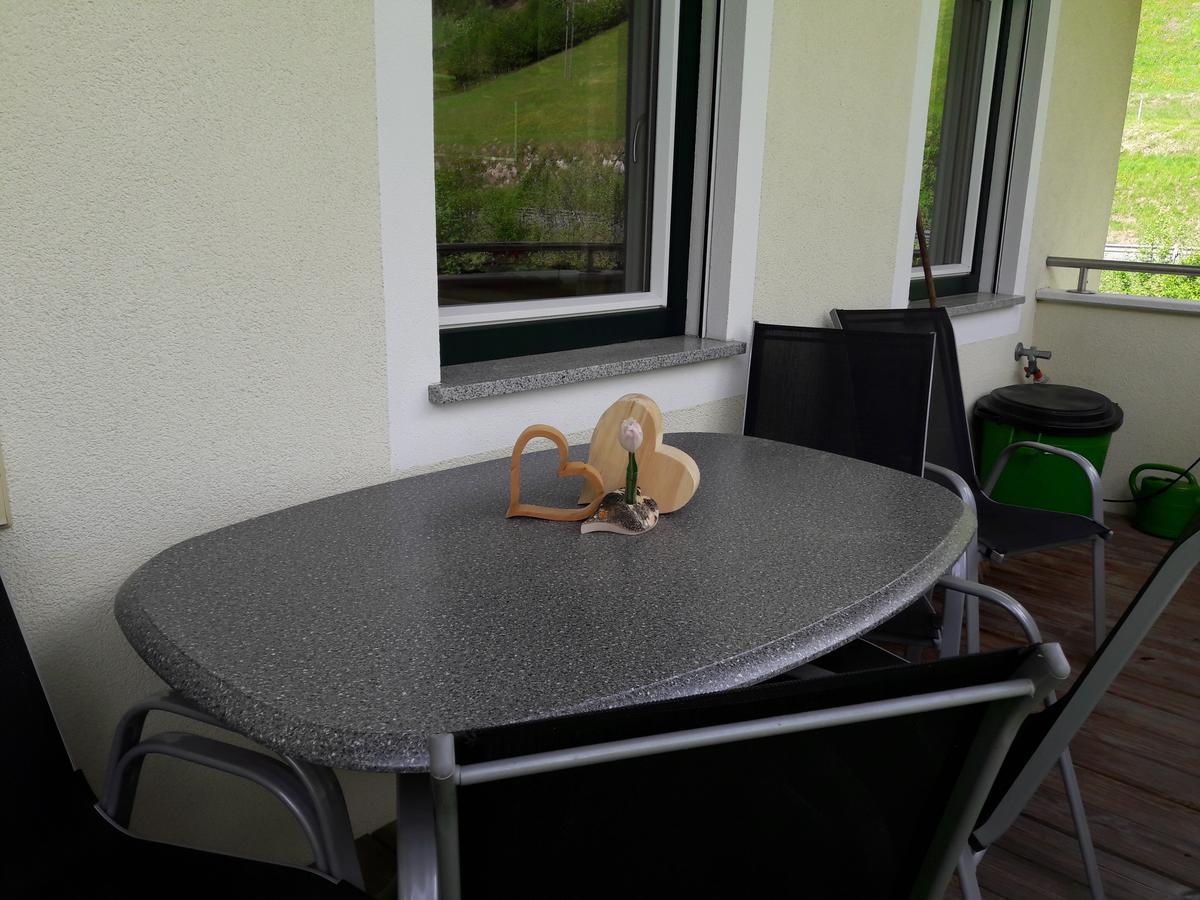 Appartement Ronacher Mittersill Luaran gambar